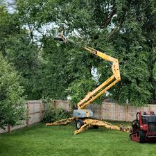 Best Lot and Land Clearing Services  in Ocean View, DE